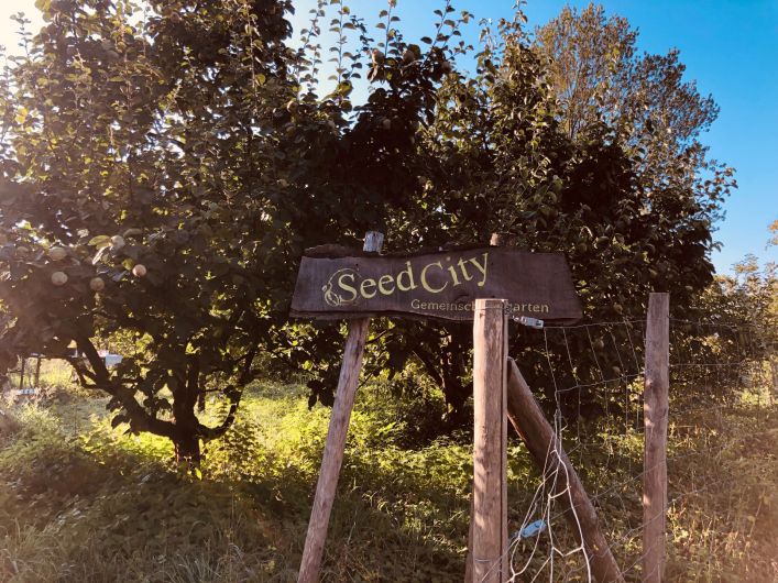 SeedCity – Gemeinschaftsgarten Zürich Höngg